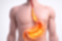 ChatGPT Image 11 feb 2026, 12_12_00.png